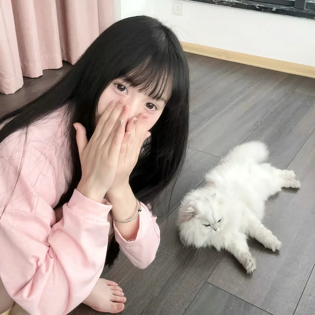 橱窗里的兔子先生